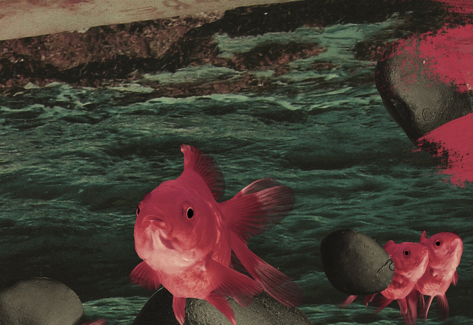 Diseño para la música